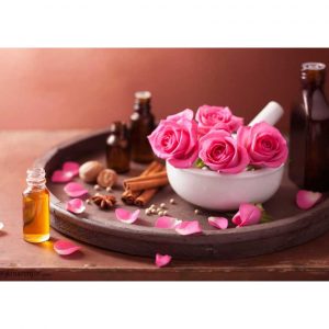 24903721483d58263f5de3d1d7c5b590 7022