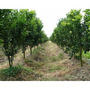 3824db2c92ba68e431ab 2583