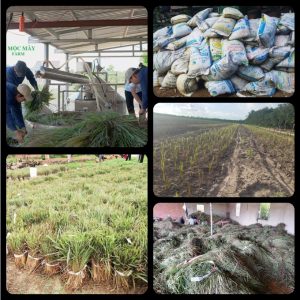 39caf3b5229adbc4828b 8610