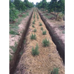 463c820e6e799727ce68 1430