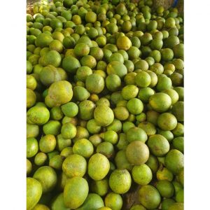 48624e729c5d65033c4c 3952