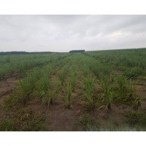 634bfcdc2ef3d7ad8ee2 3779