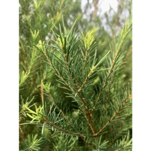 72e688213495b64ad9e2c024aa647fab 4704