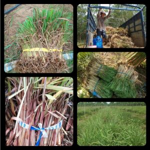 8684e004322bcb75923a 5071