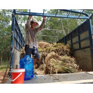 a027b2a3608c99d2c09d 8313