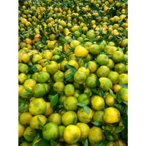 fbebb2ecfb7a0124586b 5519