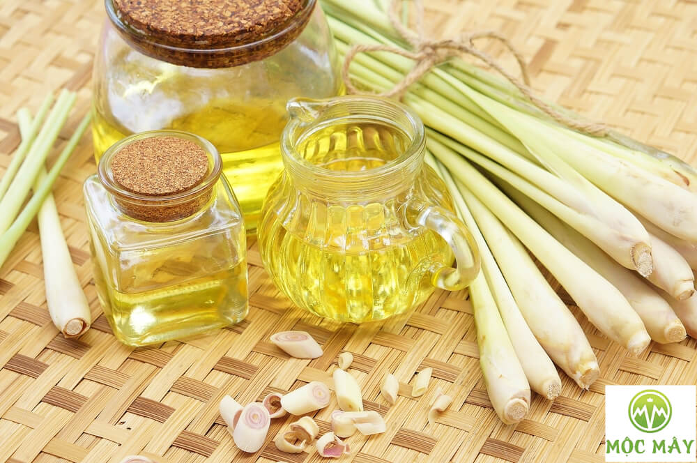 Lưu ý khi sử dụng tinh dầu sả