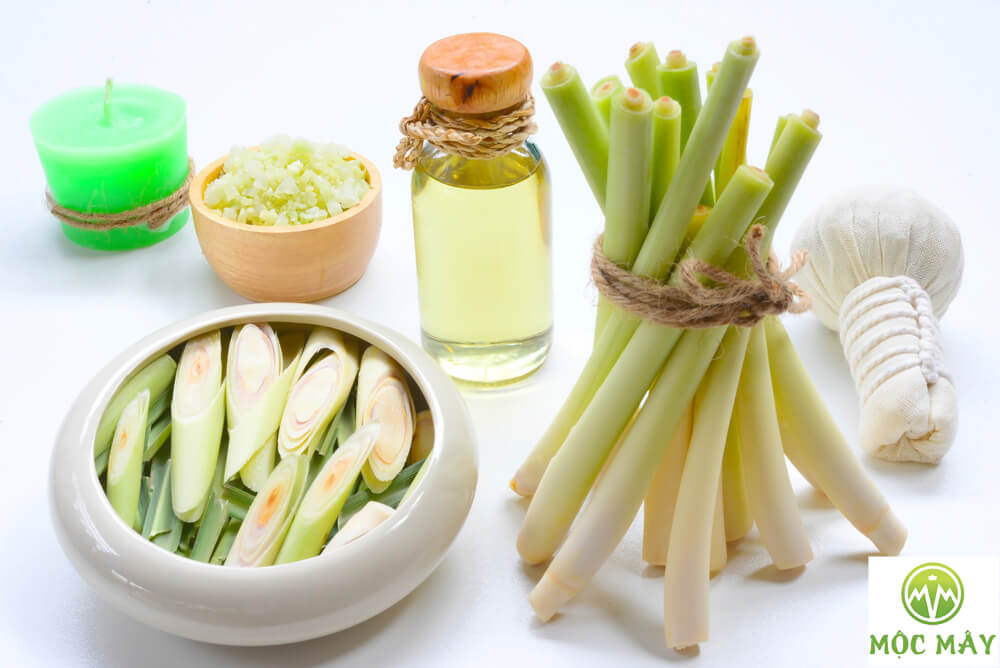 Tác dụng của tinh dầu sả nguyên chất