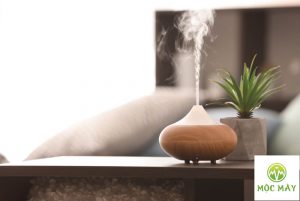 May xong tinh dau duoi muoi 1